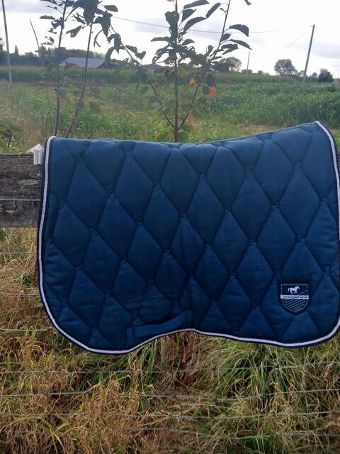 Tapis équitem