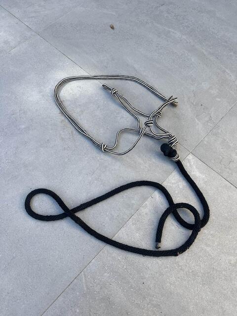 Licol éthologique