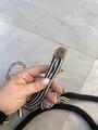 Licol éthologique