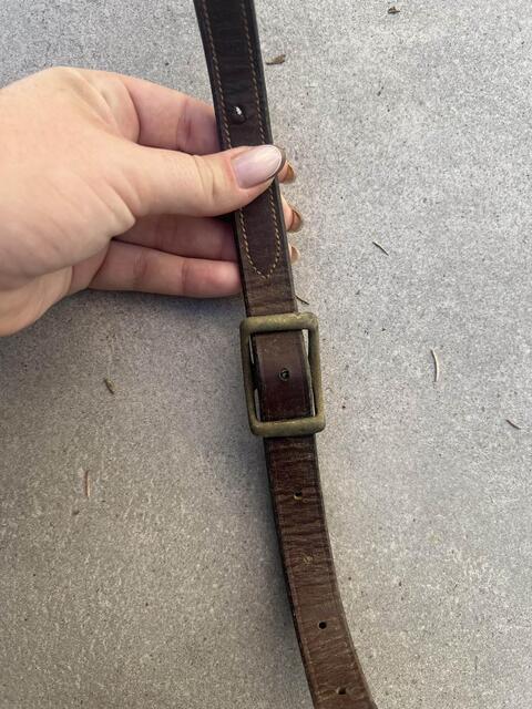 Collier de chasse avec martingale