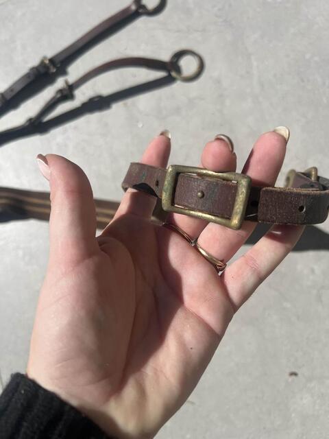 Collier de chasse avec martingale
