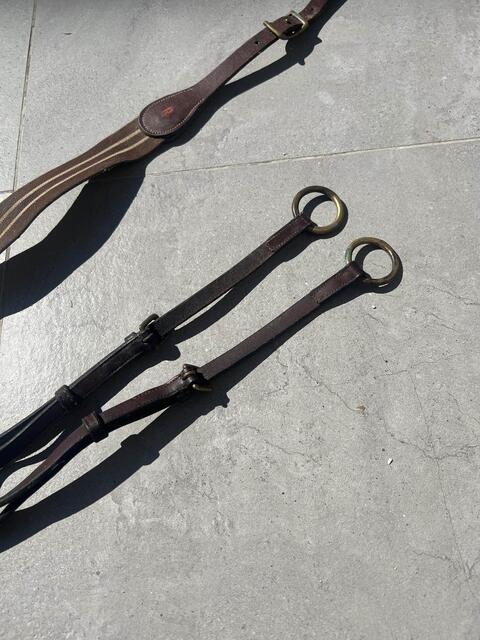 Collier de chasse avec martingale