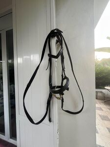 filet d’équitation