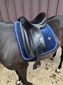 Selle dressage Zaldi
