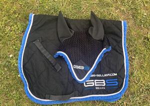 Ensemble GBS