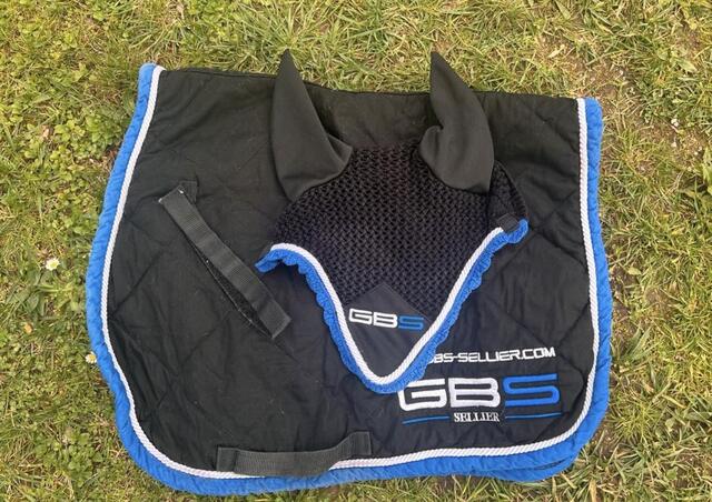 Ensemble GBS