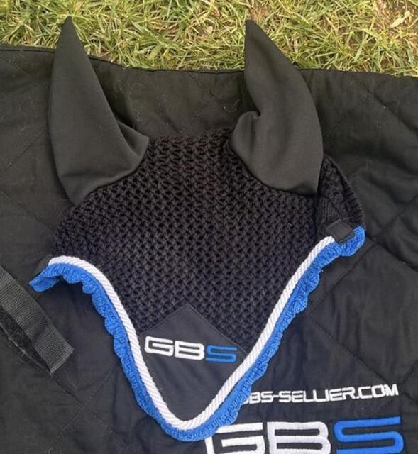 Ensemble GBS
