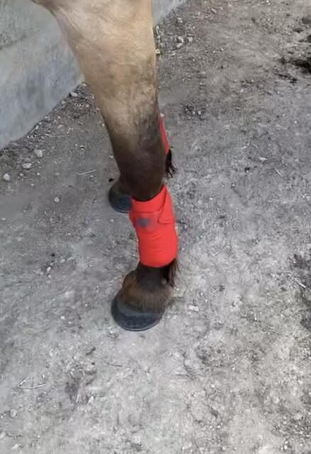 Bandes de polos