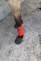 Bandes de polos