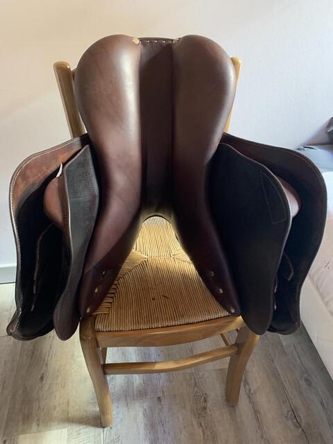 Selle Antares signature