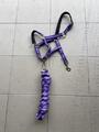 Licol Violet