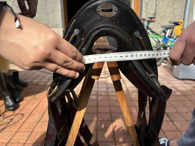 selle Mac lellan