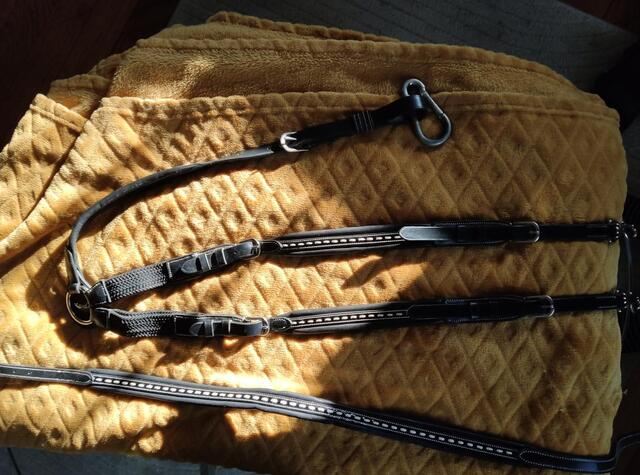 Collier de chasse et martingale Pénélope