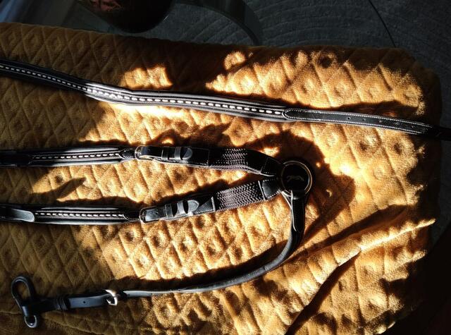 Collier de chasse et martingale Pénélope
