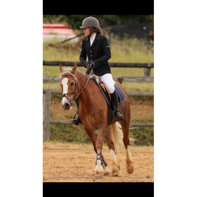 veste de concours equitheme