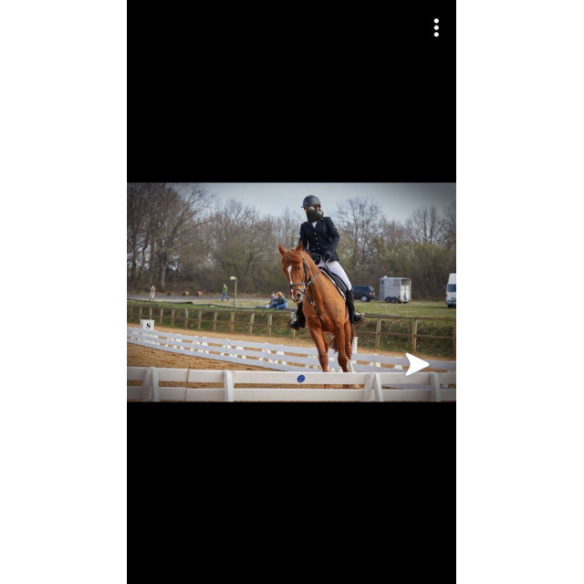 veste de concours equitheme