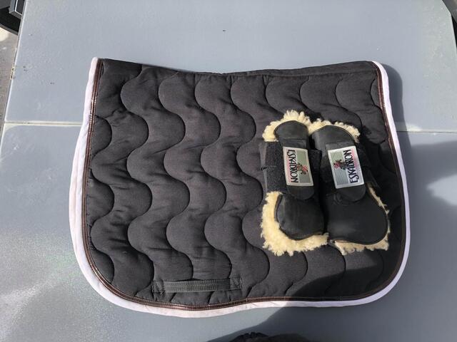 ensemble tapis paddock sport guêtres Eskadron