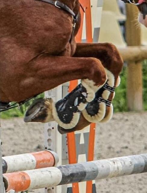 Ensemble VEREDUS CARBON GEL VENTO MOUTON