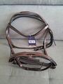 Bridon Design Havane, taille Pur-Sang, Eric Thomas Pro