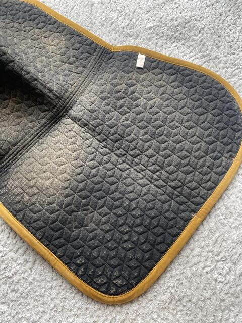 Tapis Kentucky