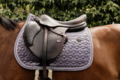 Tapis de selle Velvet Kentucky