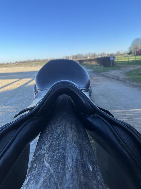 Selle Obstacle Stubben