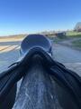 Selle Obstacle Stubben
