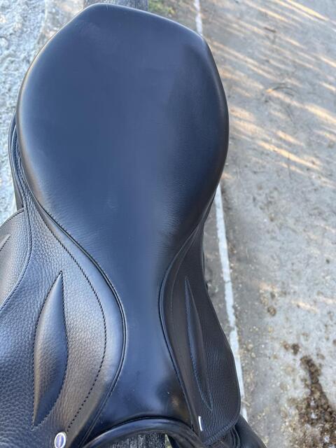 Selle Obstacle Stubben