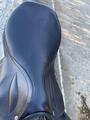 Selle Obstacle Stubben