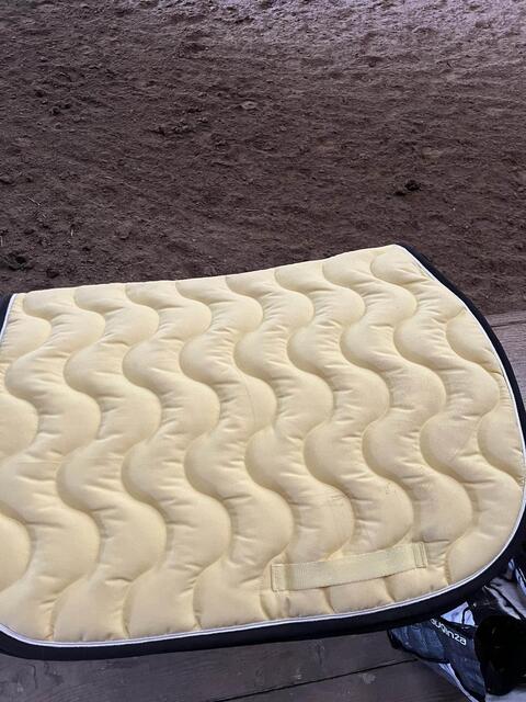 tapis