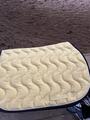 tapis