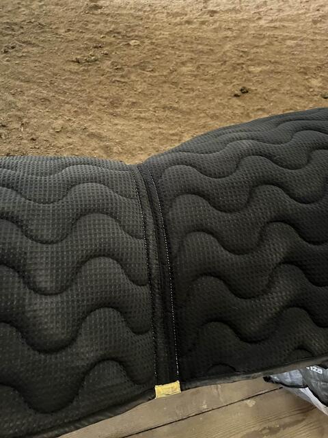 tapis