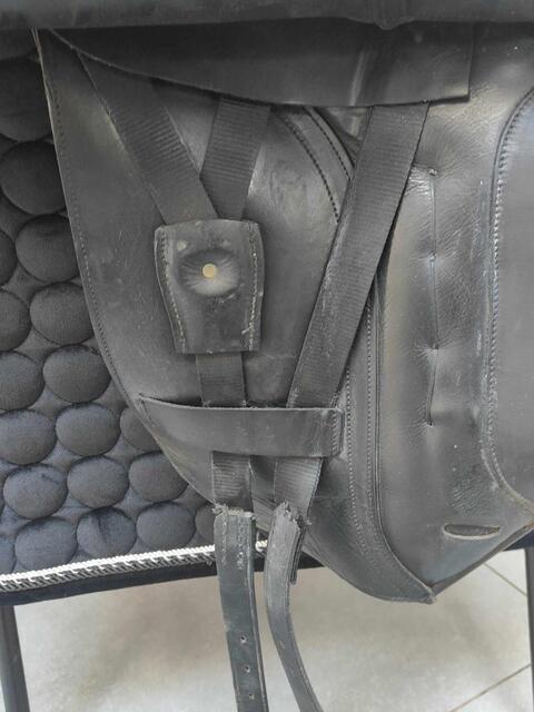 Selle de dressage Albion 17.5'