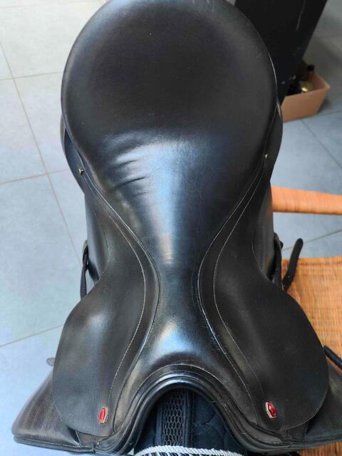 Selle de dressage Albion 17.5'