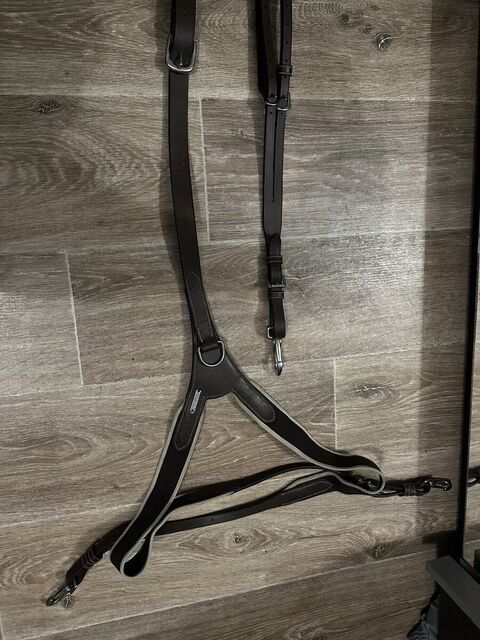 martingale + collier de chasse
