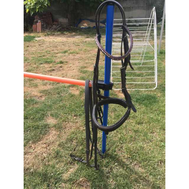 Bridon cheval