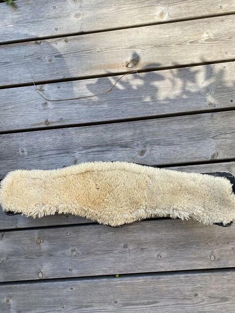 Sangle de dressage Devoucoux