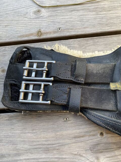 Sangle de dressage Devoucoux