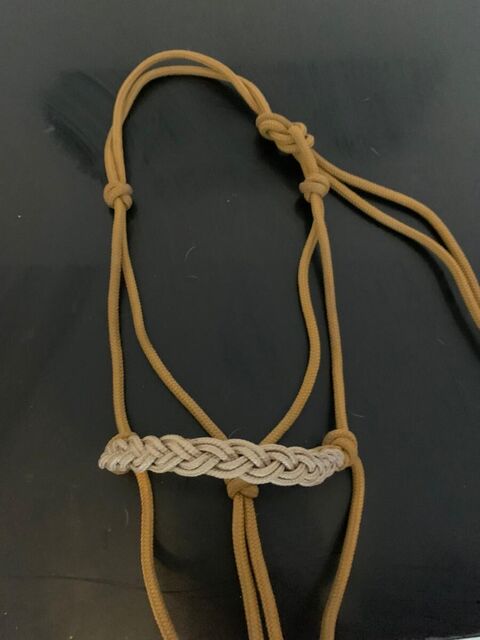 Parure licol éthologique longe+cordelette