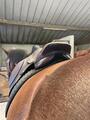 SELLE TIME RIDER 17,5
