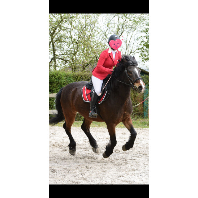 VESTE GPA DOUBLE CLEAR ROUGE
