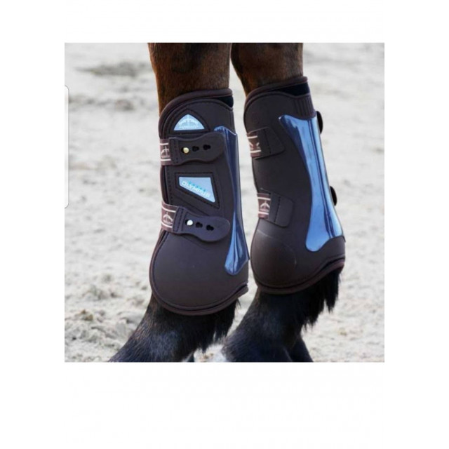 Guêtres antérieurs postérieurs