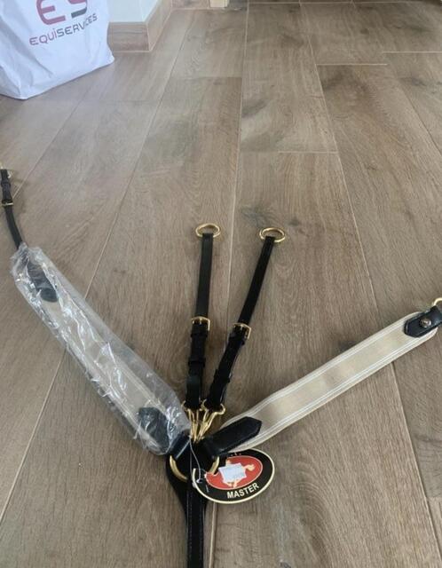 Martingale croisée collier de chasse