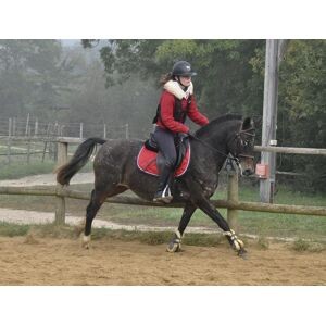 Tapis de selle