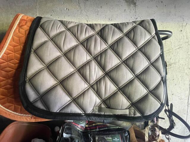 tapis Silver Crown
