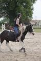 Tapis Cso/ mixte