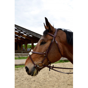 Bridon cso