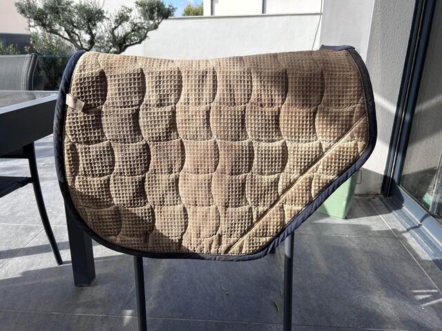 Tapis bleu coupe sport