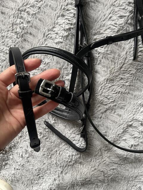 Filet noir strass cheval