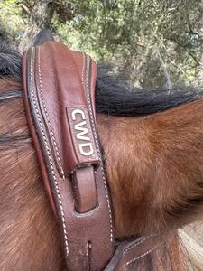 Bridon cwd